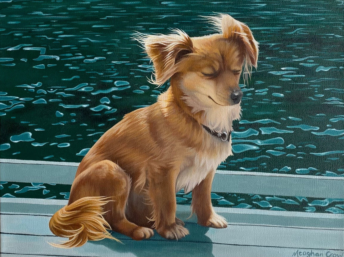 Pet Portrait by Meaghan Crow: Charlie