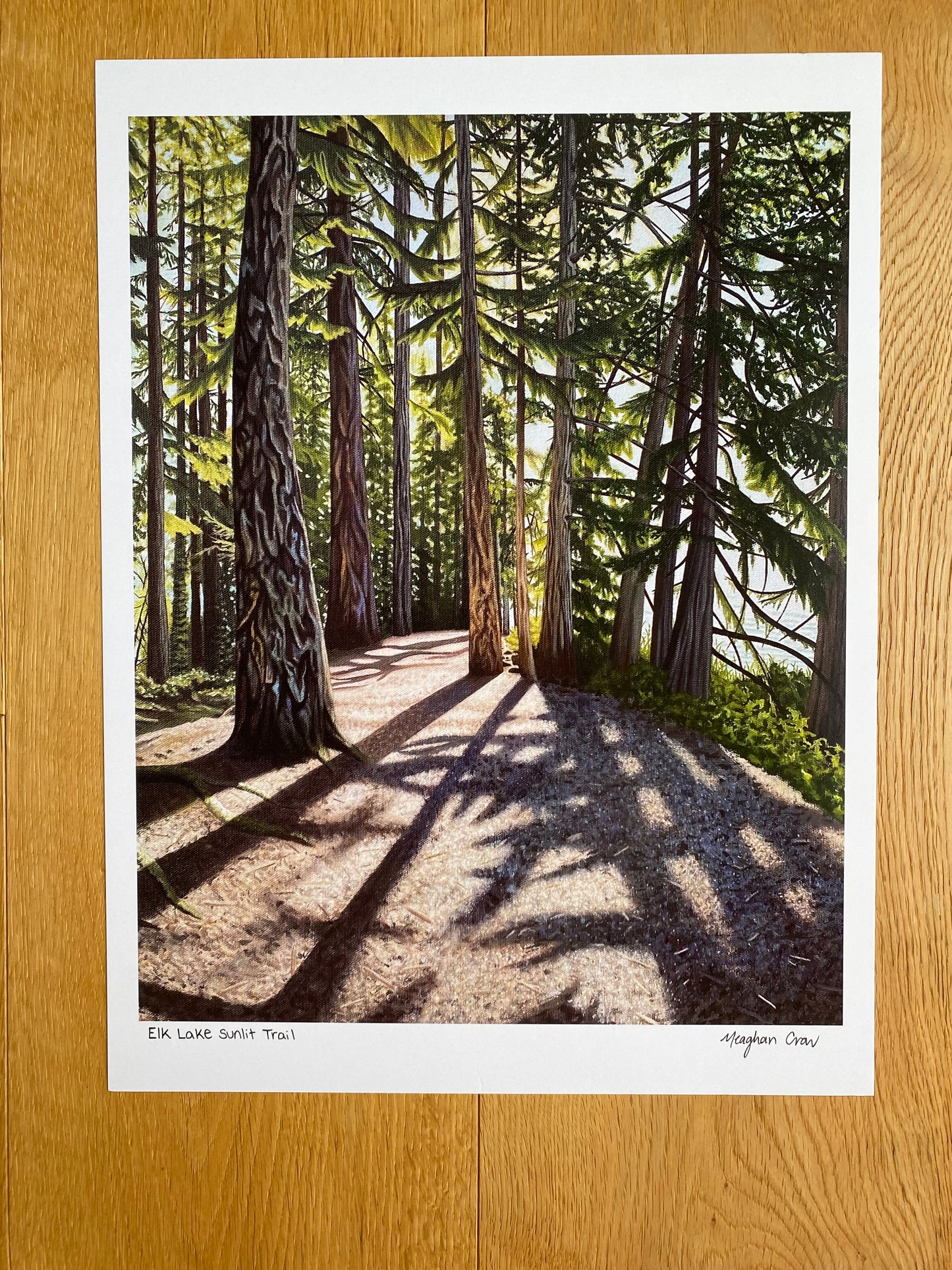 Elk Lake Sunlit Trail Art Print