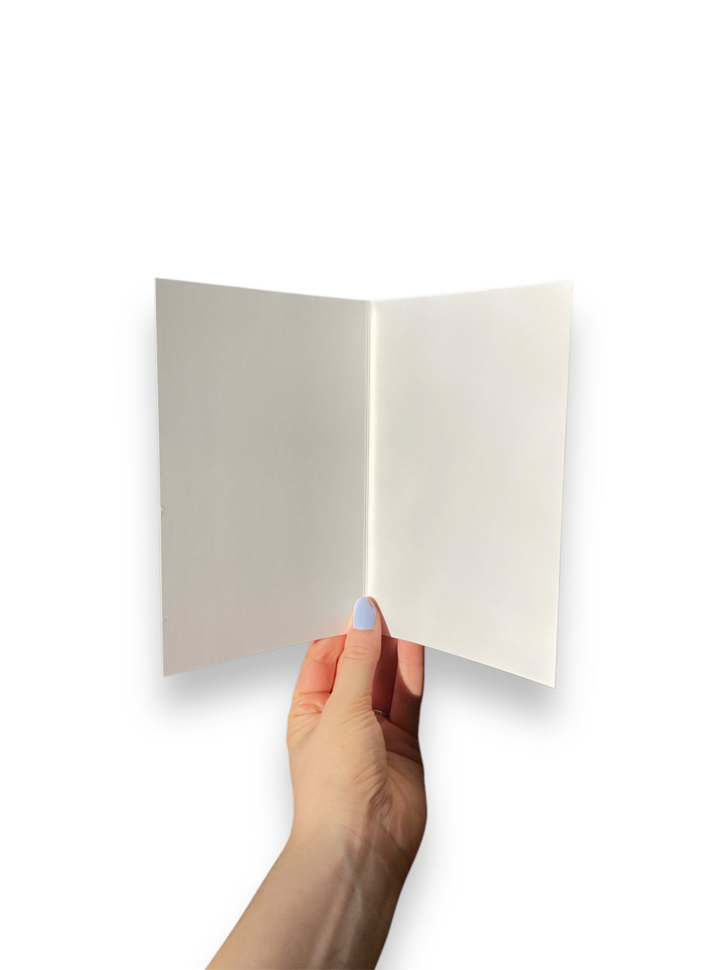 You Aren’t Normal. I like that.