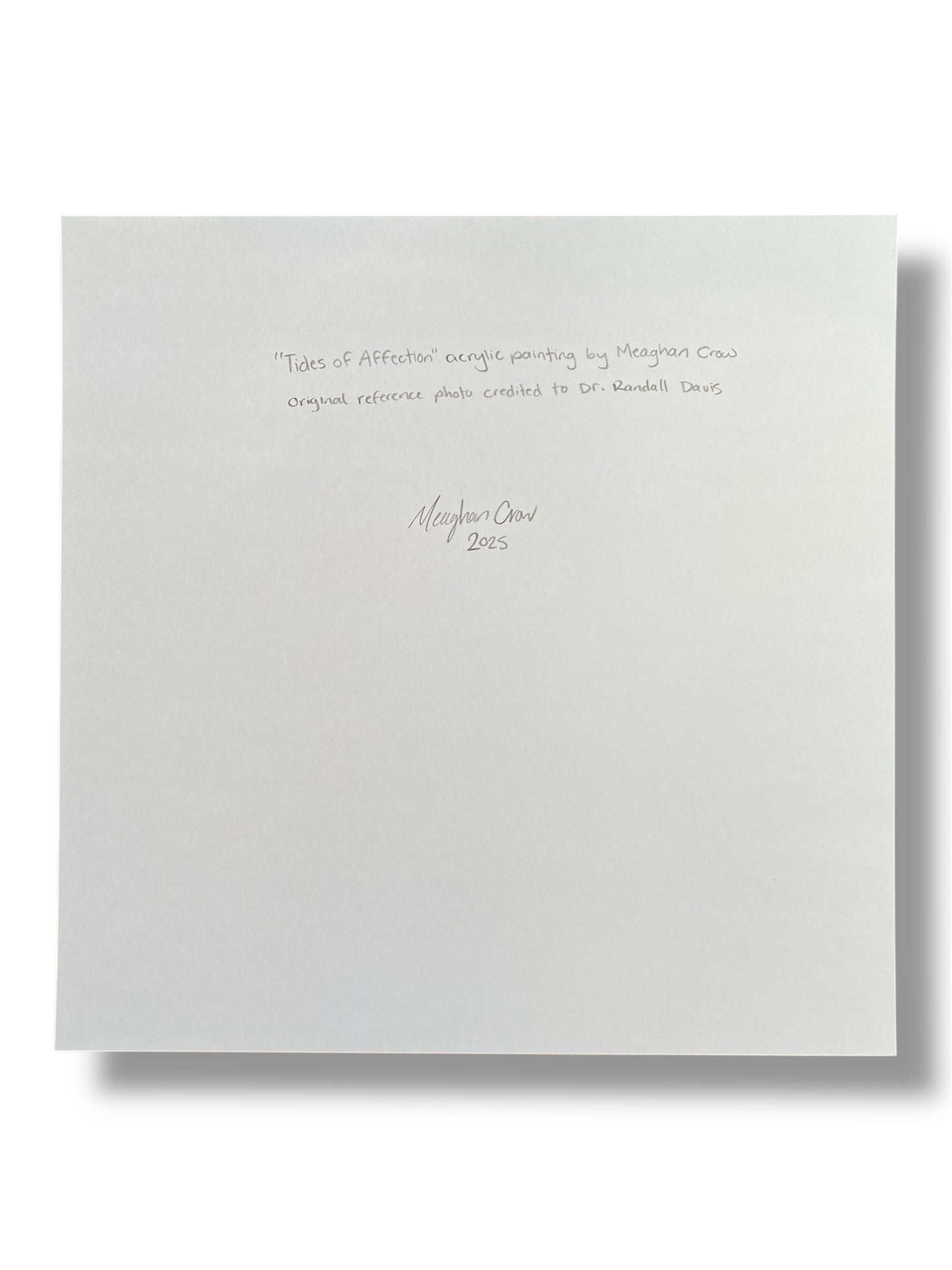 Tides of Affection, Otters Print