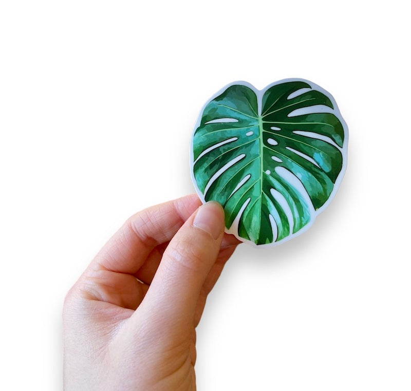 Monstera Leaf Sticker