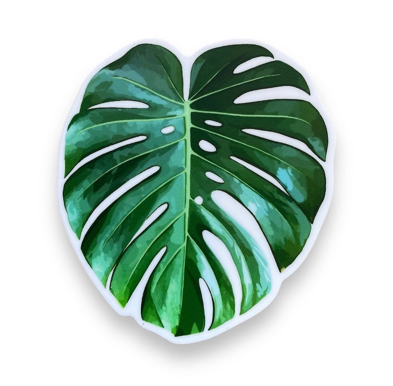 monstera sticker Monstera Leaf Sticker