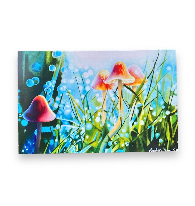 Pencil Crayon Mushroom Art Card