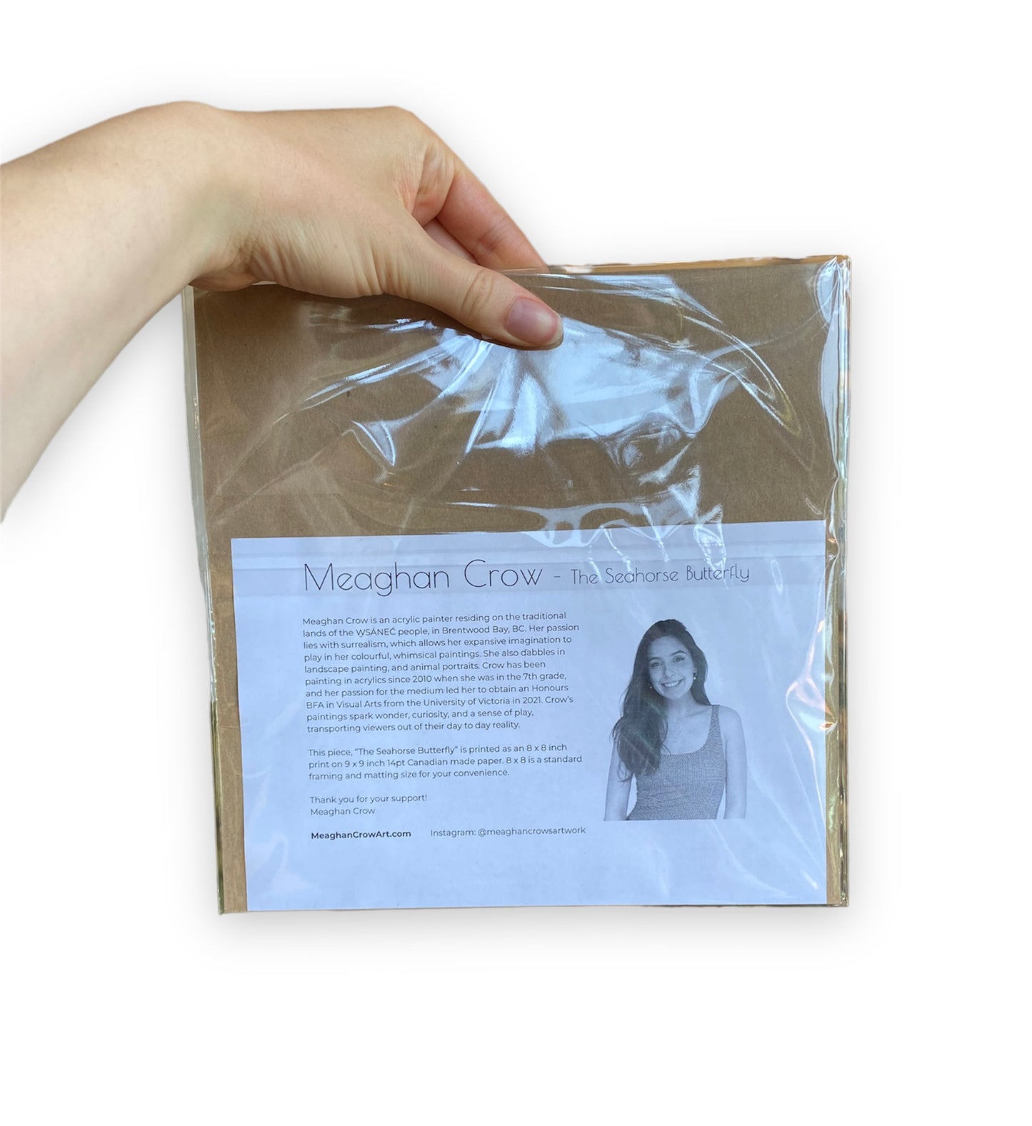 Seahorse Butterfly Art Print