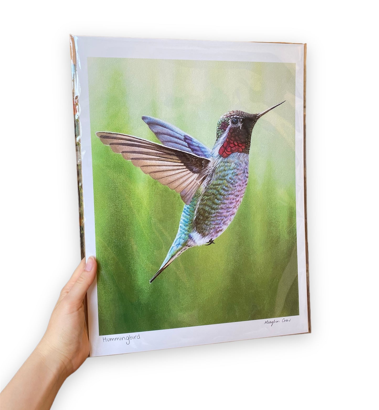 Hummingbird Art Print