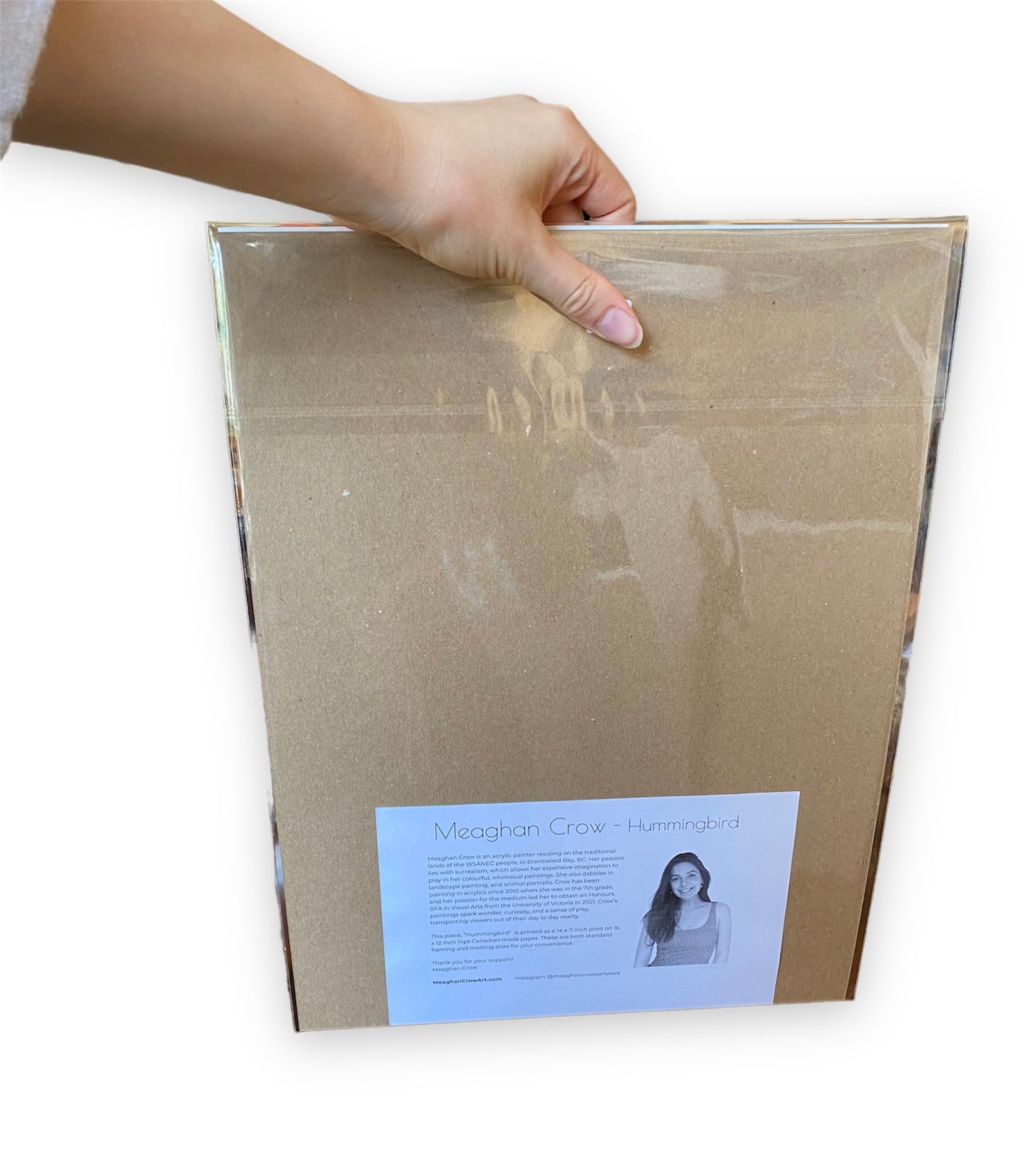 Hummingbird Art Print