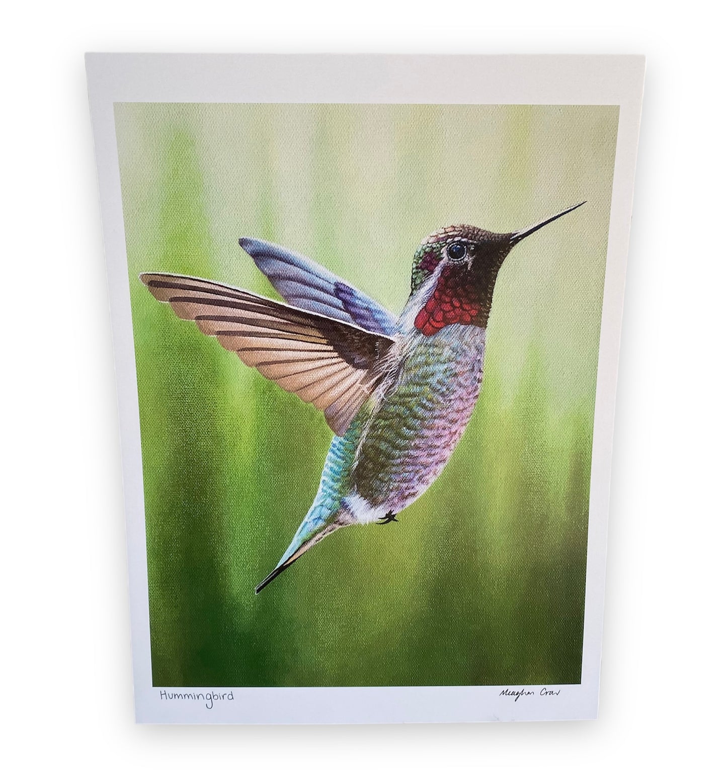 Hummingbird Art Print