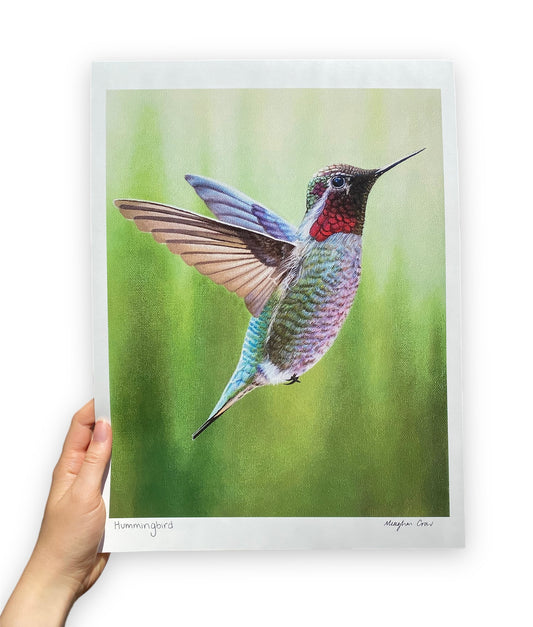 Colibri Impression artistique