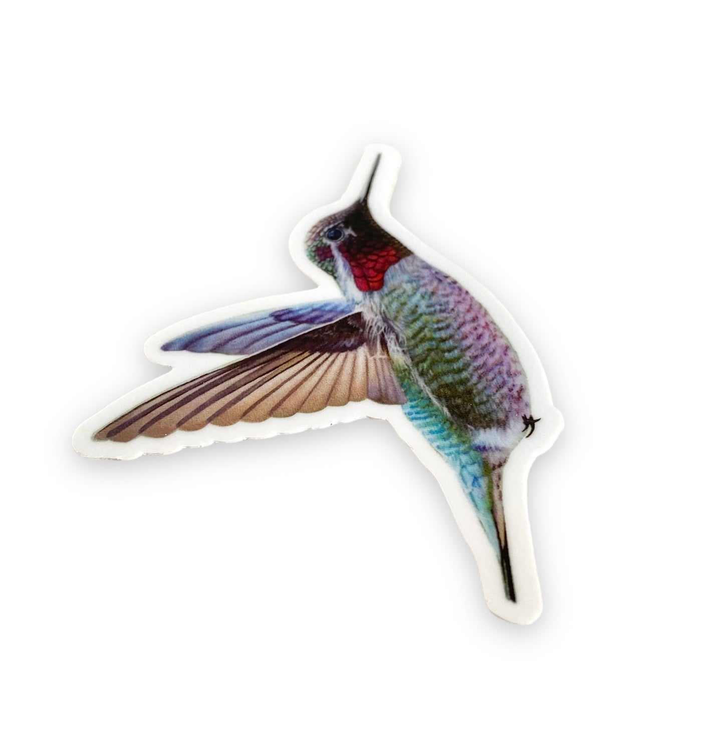 Hummingbird Water Bottle Laptop Sticker