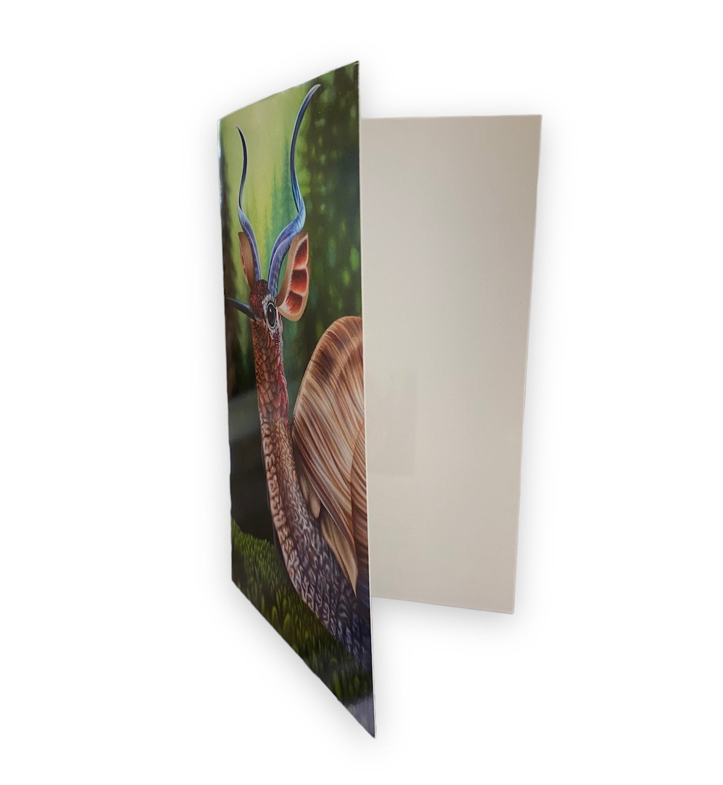 The Snummer- Snail Hummingbird Antelope- Art Card