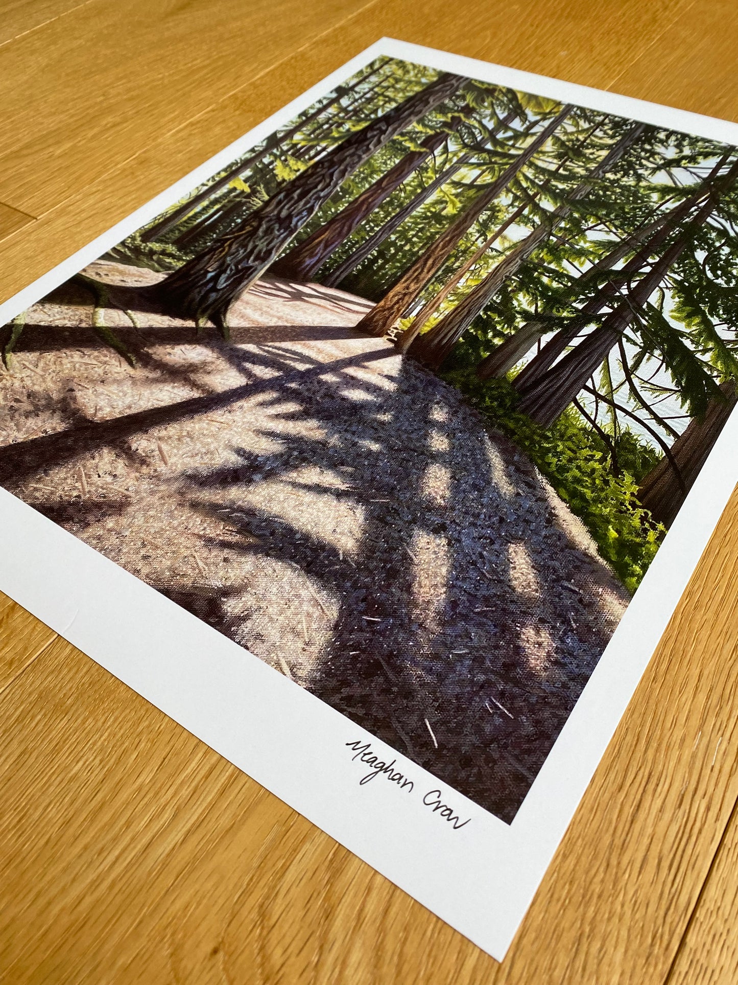 Elk Lake Sunlit Trail Art Print