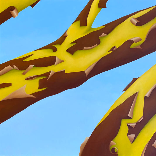 Abstract Arbutus