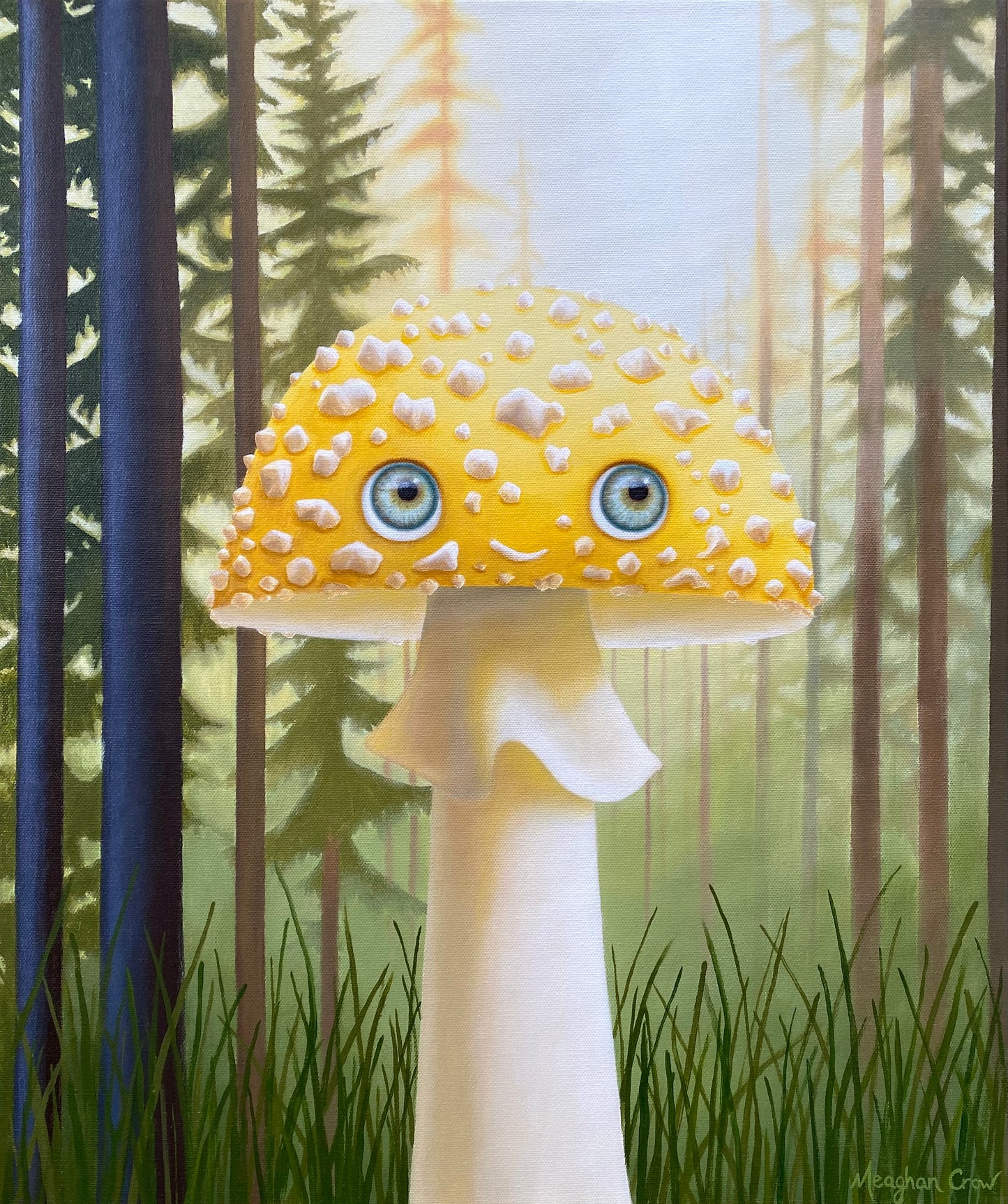 Fungeyes No. 14