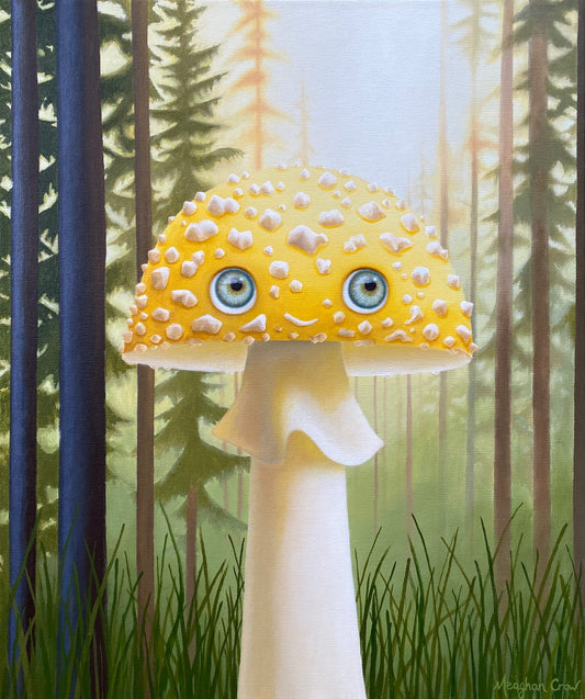 Fungeyes No. 14