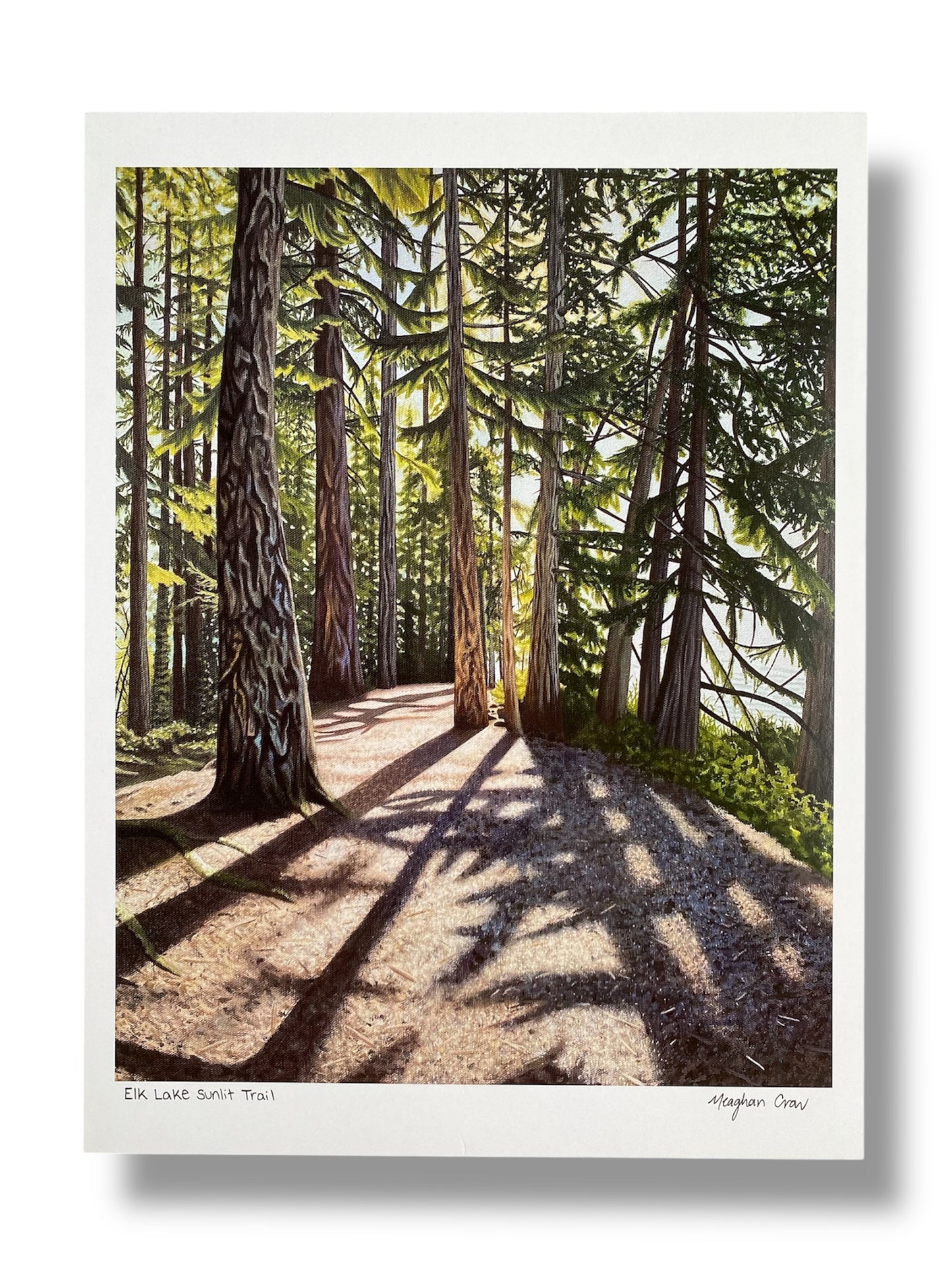 Elk Lake Sunlit Trail Art Print