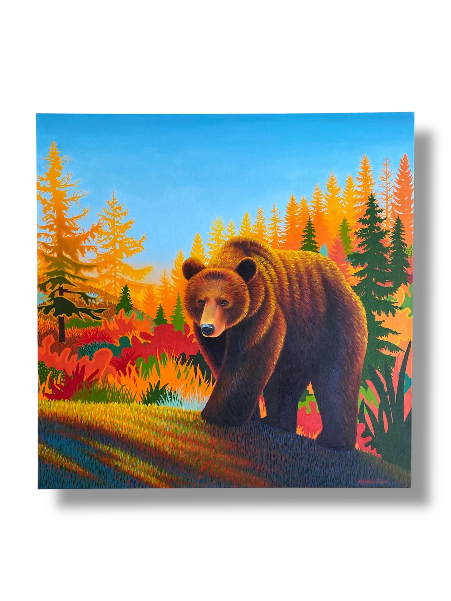 Wandering Bear