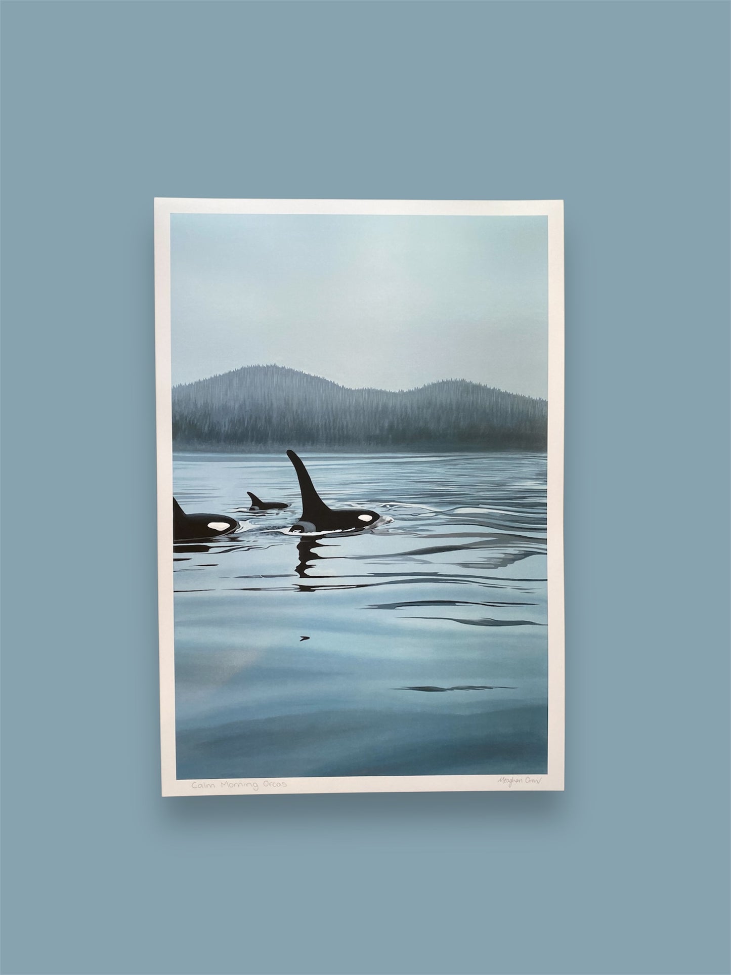 Calm Morning Orcas Art Print