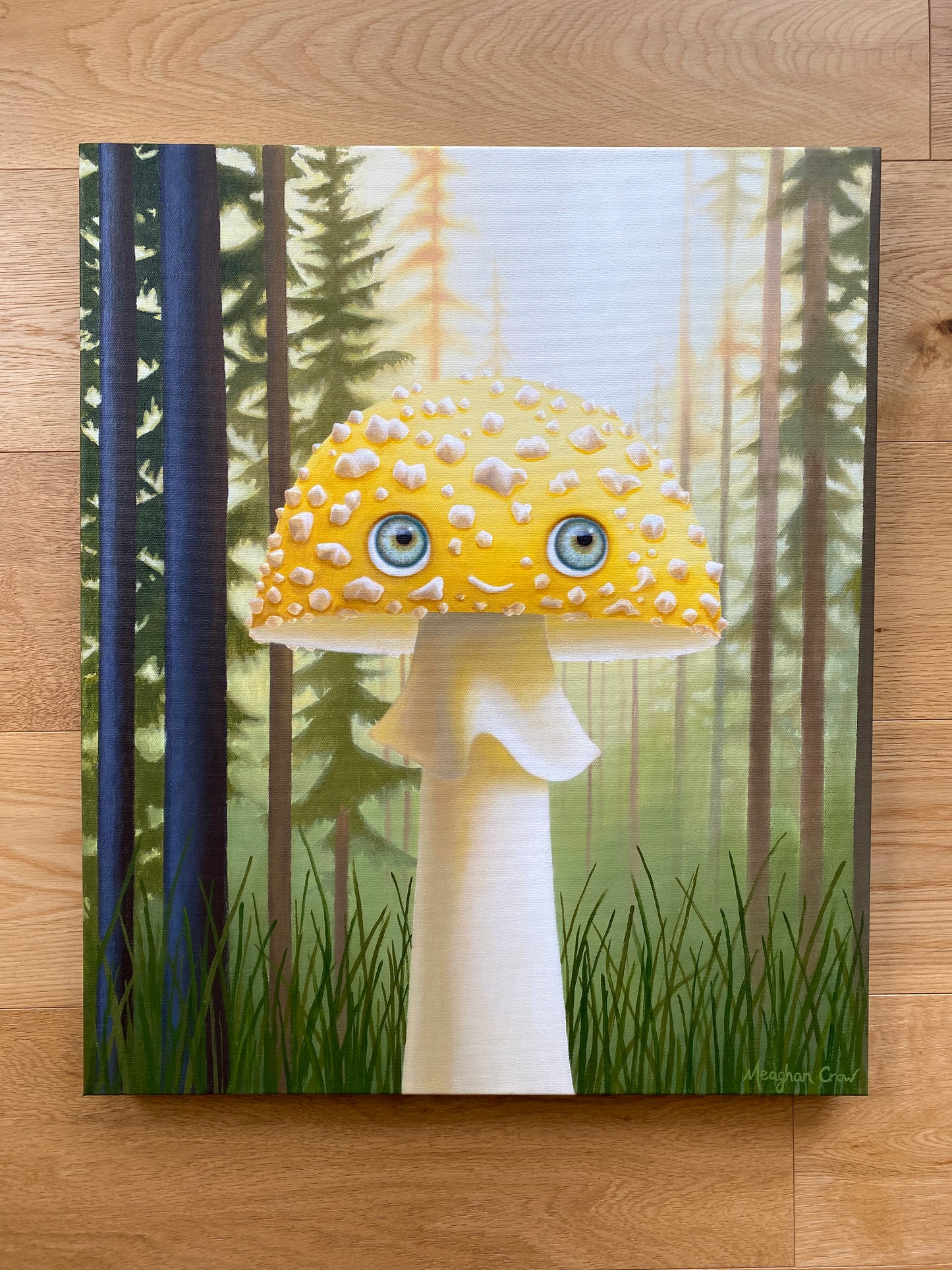 Fungeyes No. 14