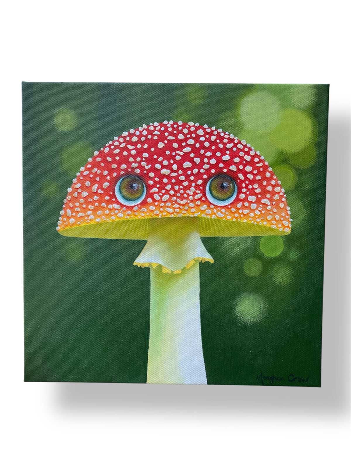 Fungeyes No. 13