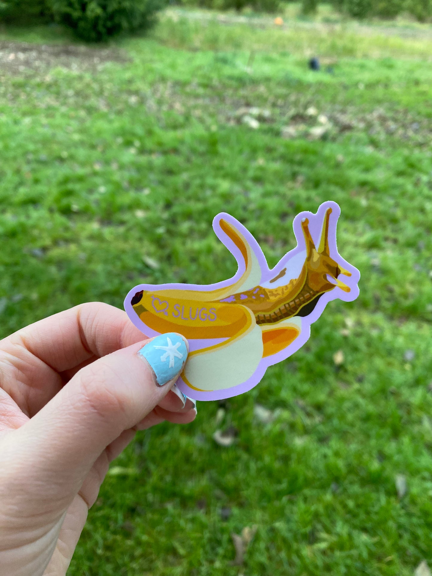 Banana Slug Sticker