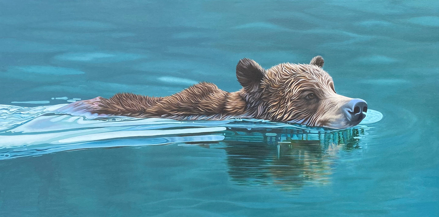 Swimming Bear