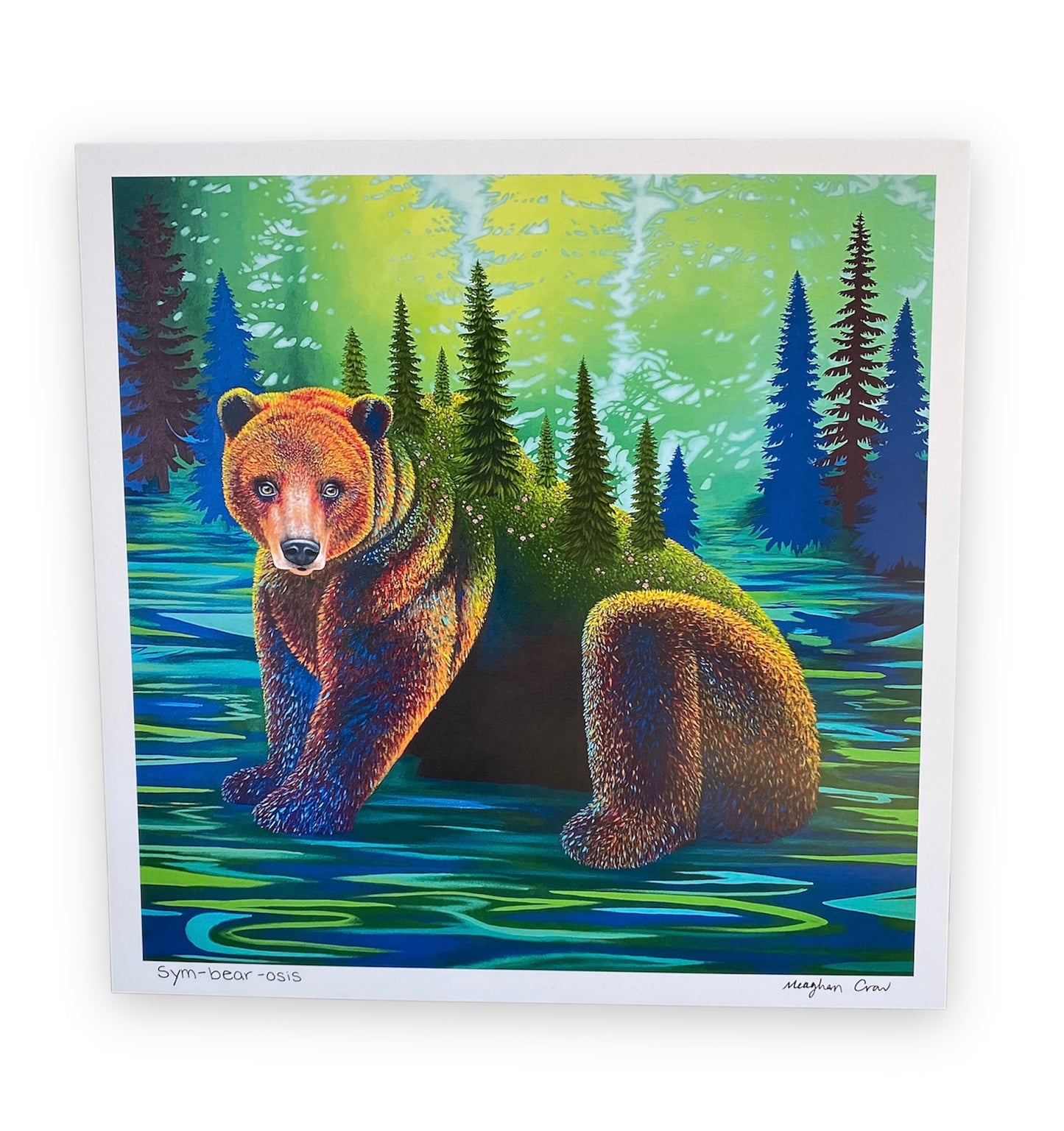 Oso "Sym-bear-osis" Lámina artística