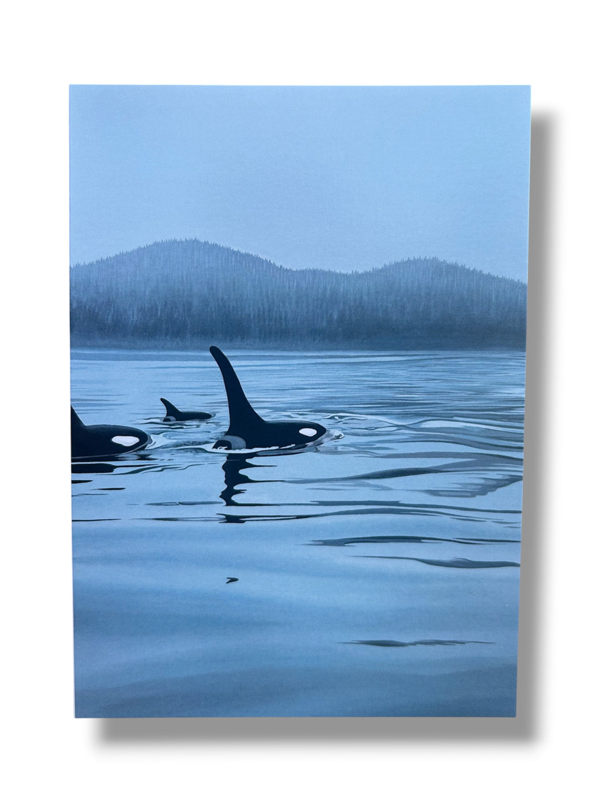 Calm Morning Orcas Art Card
