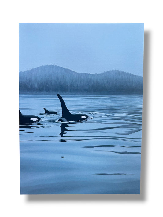 Calm Morning Orcas Art Card