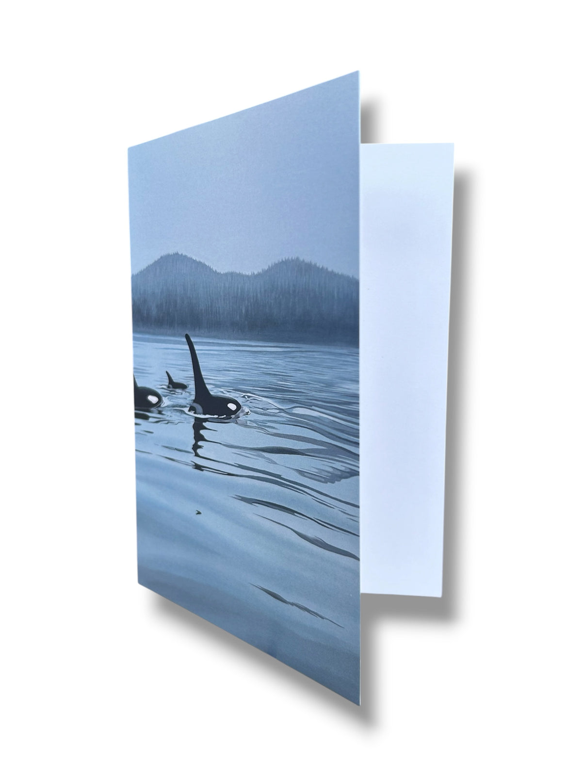Calm Morning Orcas Art Card