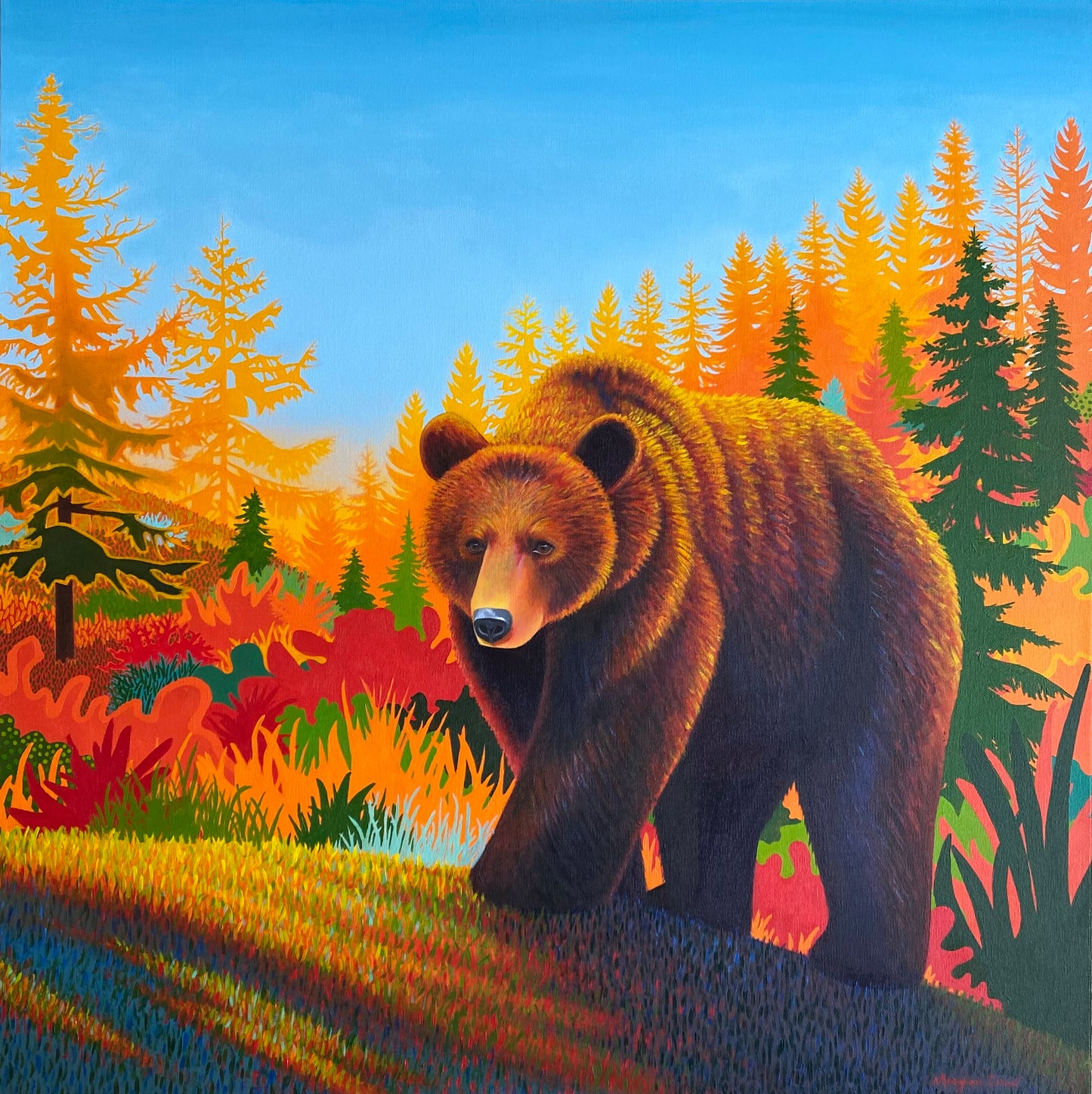 Wandering Bear