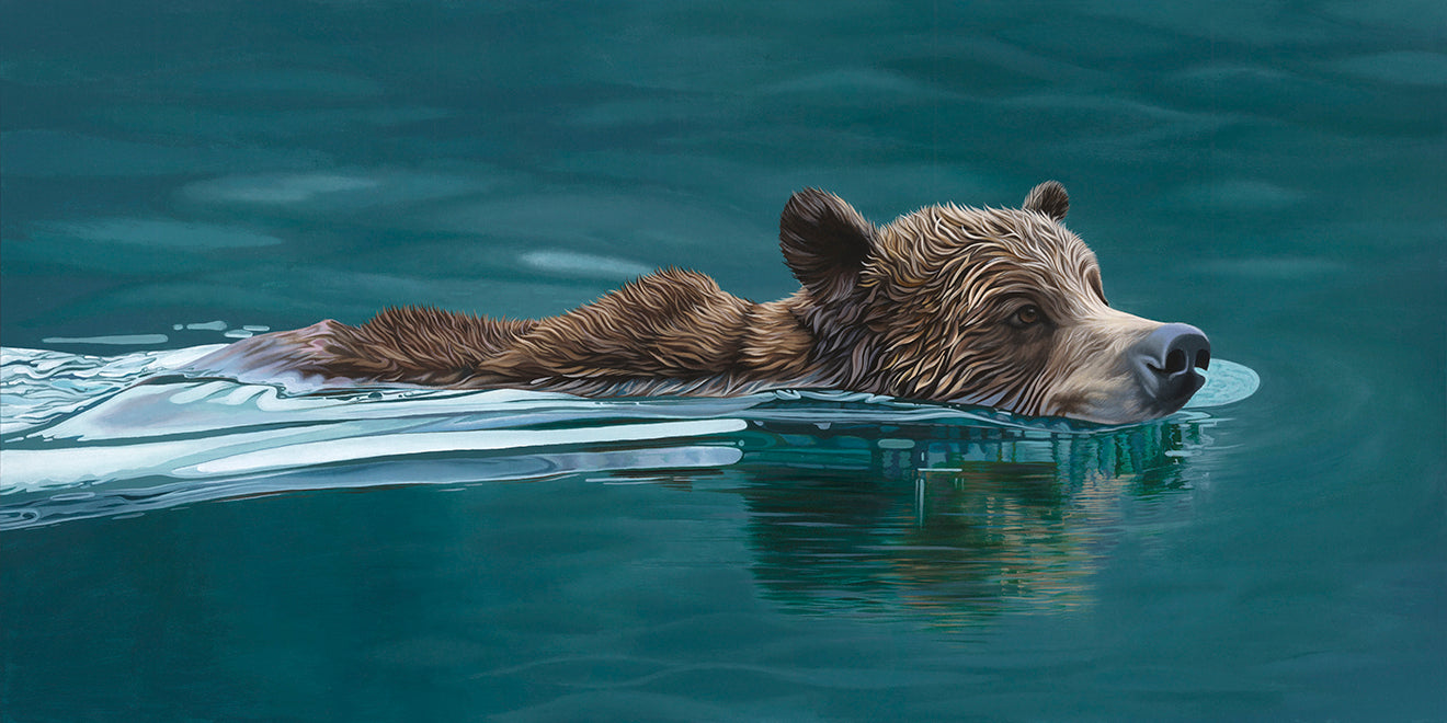 Swimming Bear