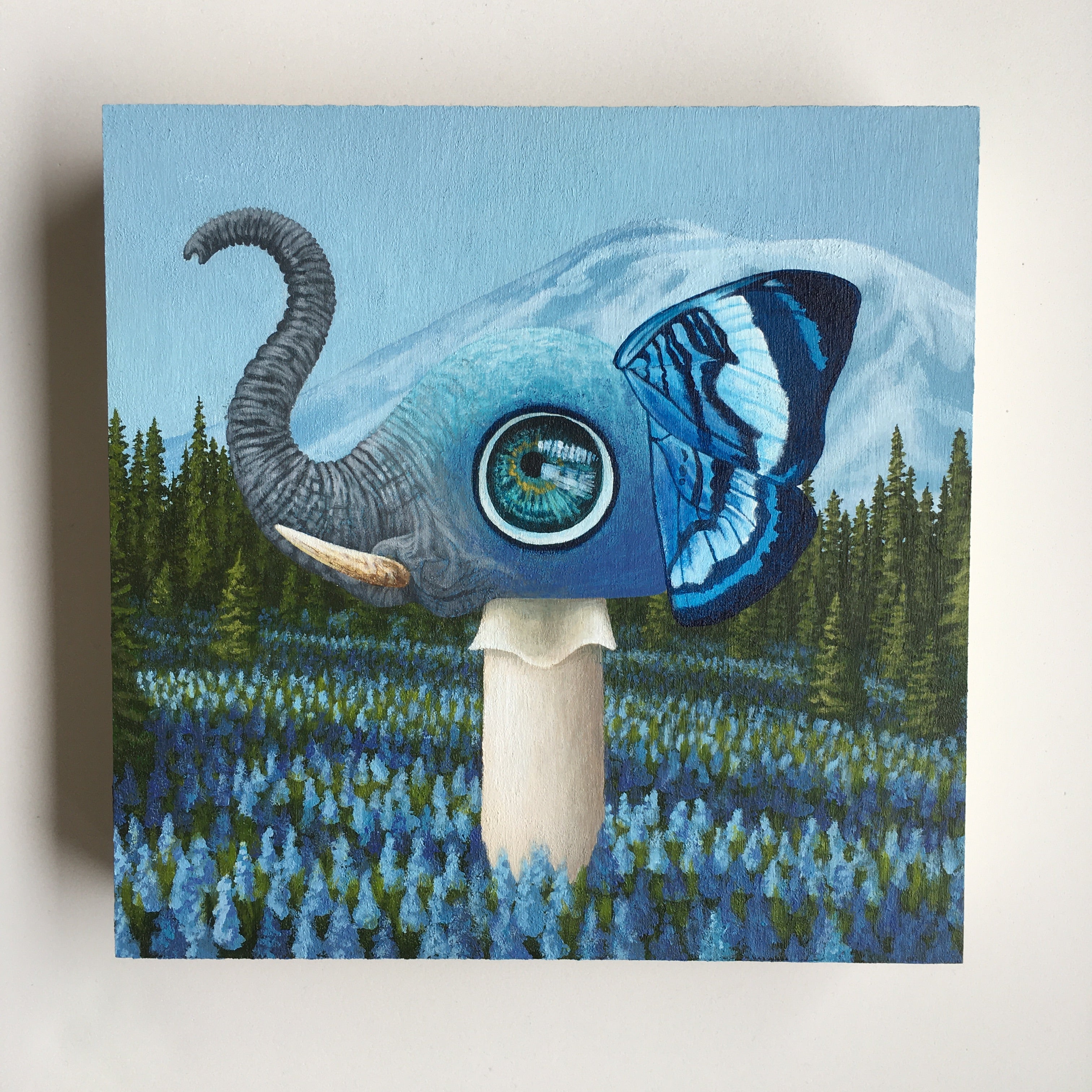 Confusing Creature Creatures as Confused as I Am No. 8 – Meaghan Crow