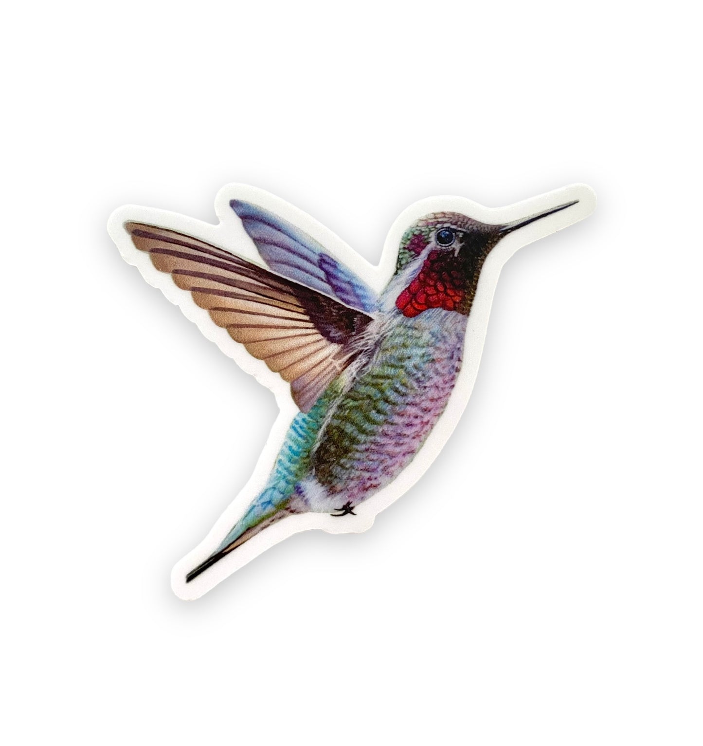 Hummingbird Water Bottle Laptop Sticker
