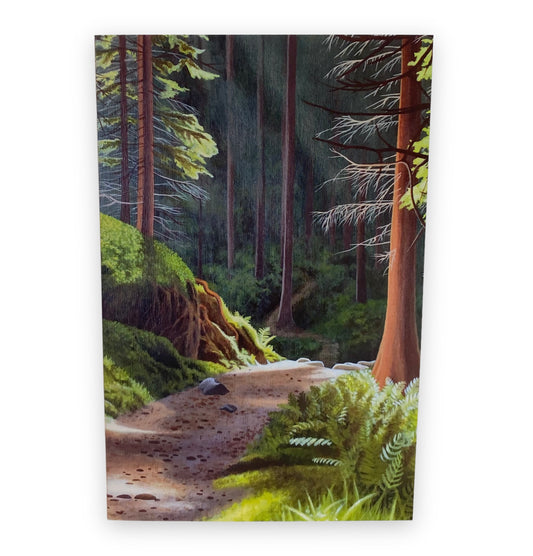 Sunlit Forest BC Vancouver Island Hiking Art Card