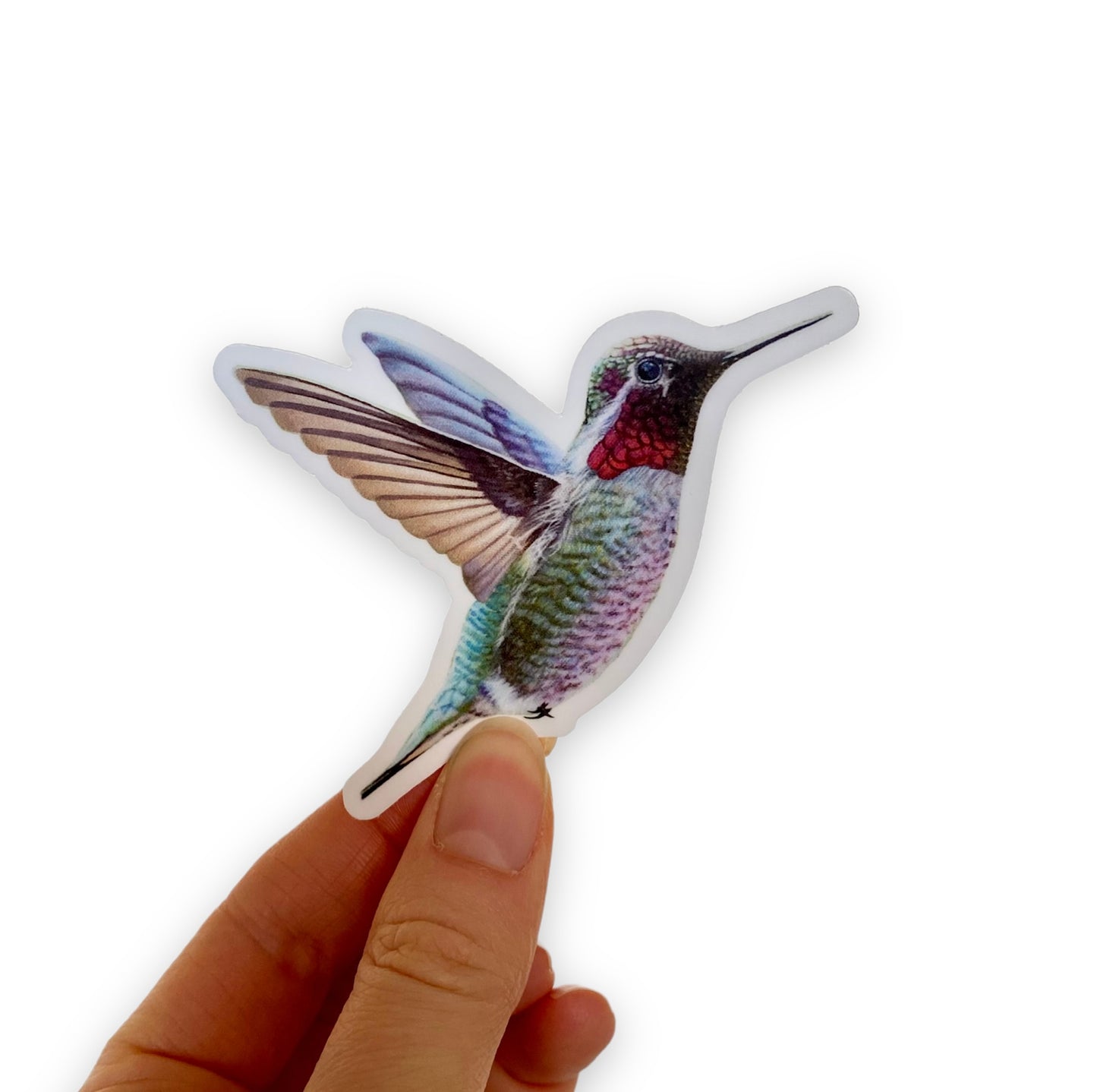 Hummingbird Water Bottle Laptop Sticker