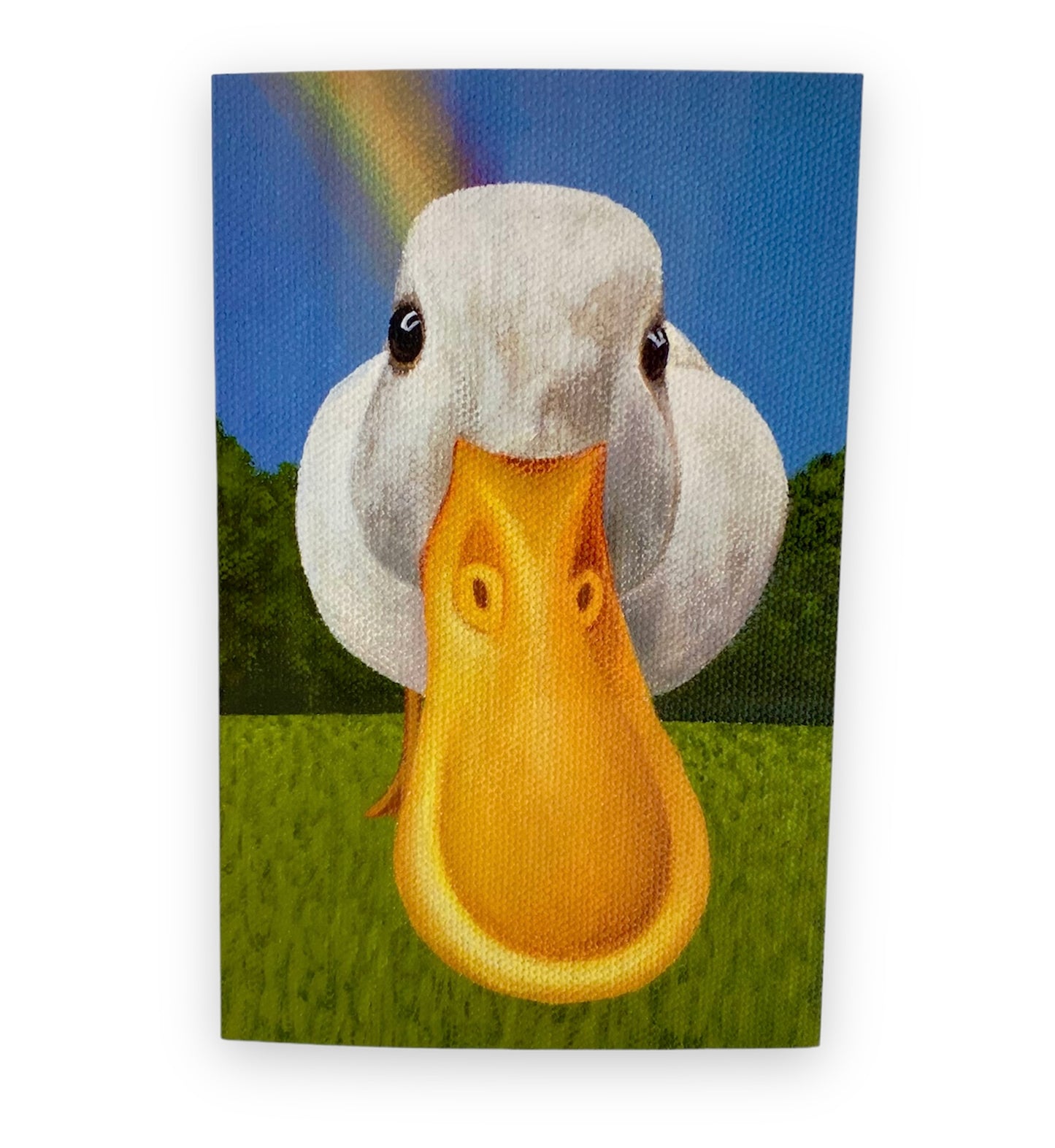 Rainbow Funny Duck Card