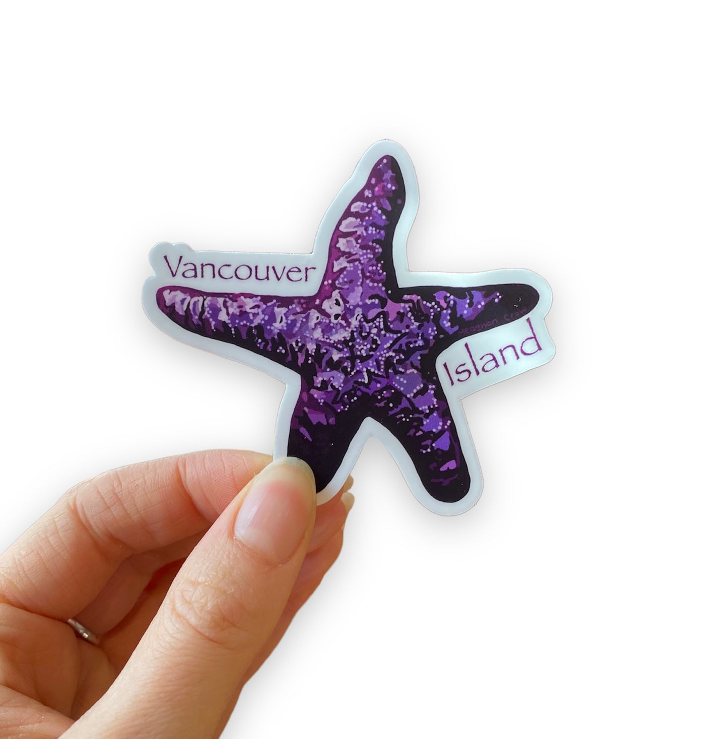 Purple Starfish Sticker (Vancouver Island)