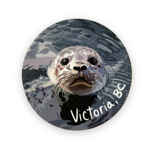 Harbour Seal Victoria BC