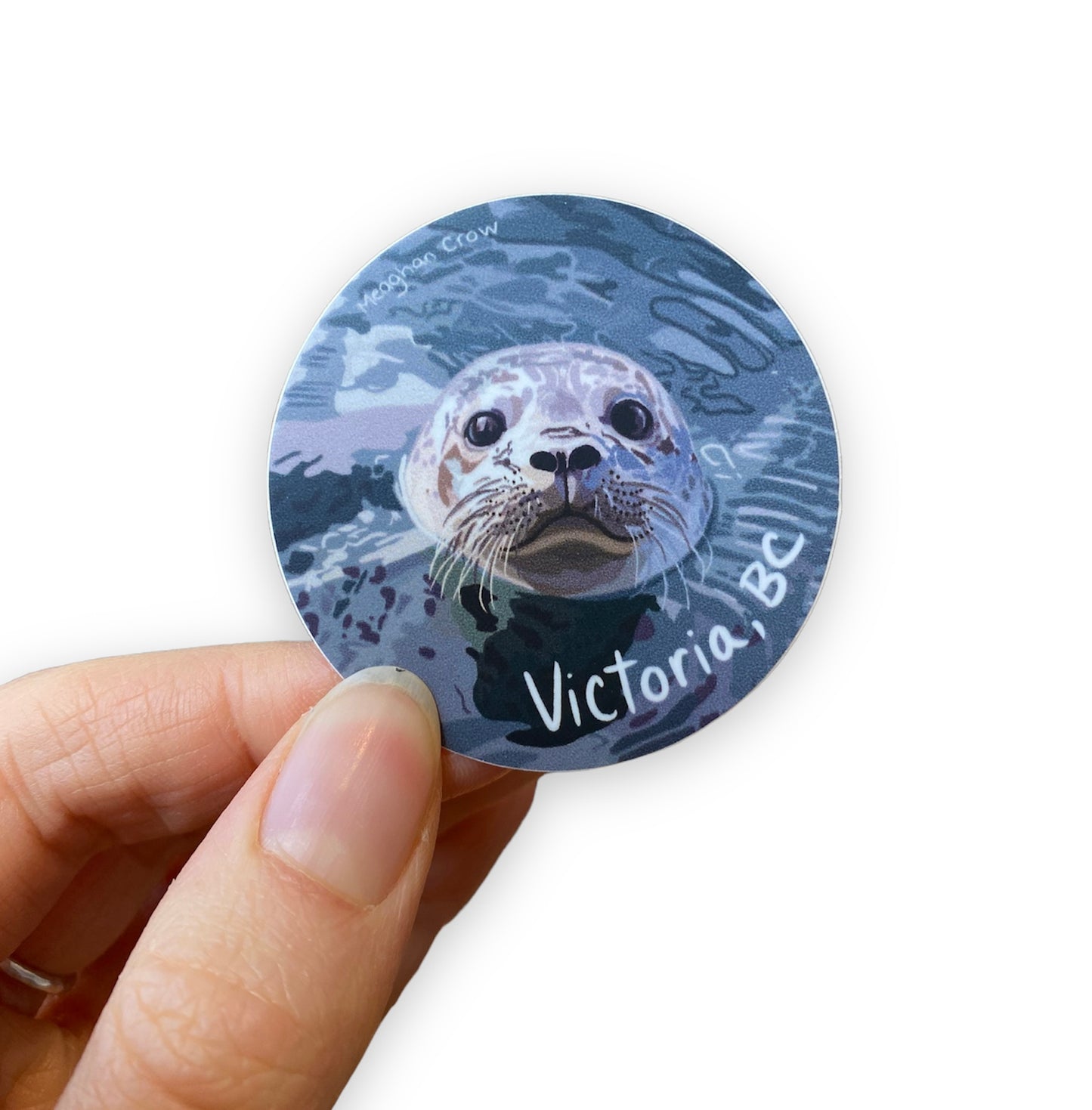 Harbour Seal Victoria BC